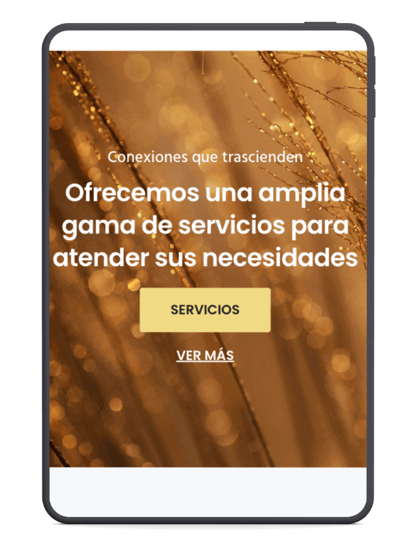 Web generada por Kualiti para una empresa del sector industrial y comercial